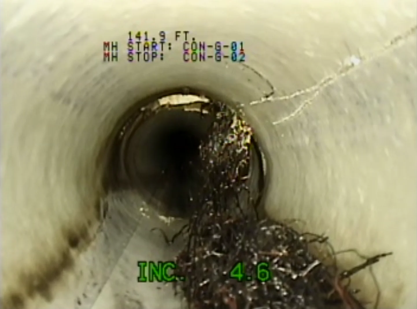Offset joint showing root intrusion