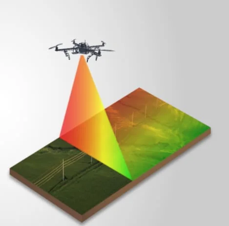 LiDAR scan showing terrain elevation beneath vegetation